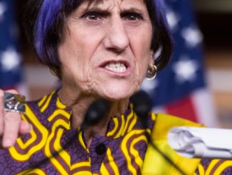 Rosa DeLauro Net Worth And Husband: Facts To Know About
