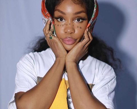 Is SZA Pregnant In 2021? Meet Her Boyfriend And Baby Father
