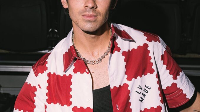 Joe Jonas American Singer, Song Writer, Actor, Dancer